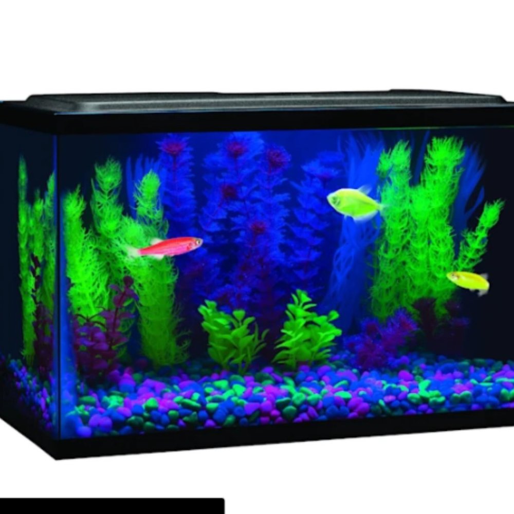 Fish tank